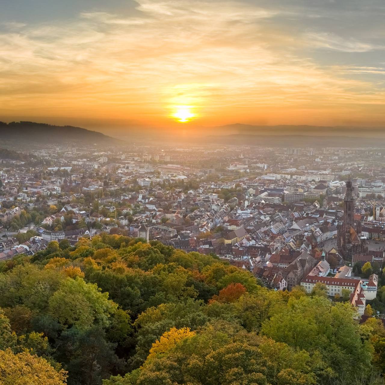 Freiburg im Schwarzwald