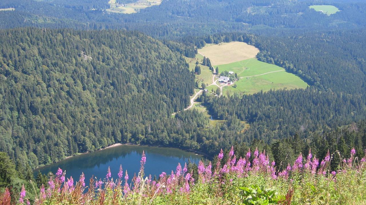 Wandertouren auf der Website des Schwarzwaldvereins